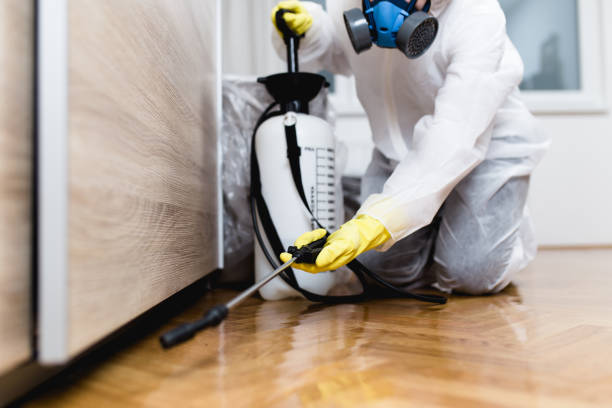 Best Exterminator Services  in Moreland Hills, OH