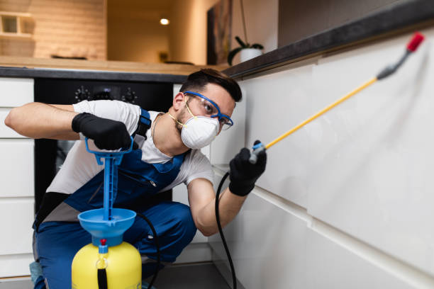 Best Bed Bug Extermination  in Moreland Hills, OH