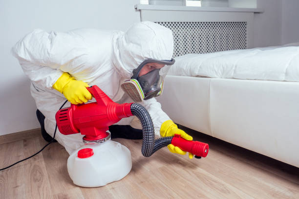 Best Flea Control Services  in Moreland Hills, OH