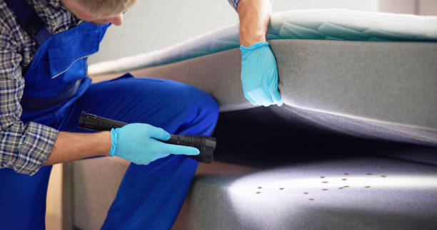 Best Insect Control  in Moreland Hills, OH
