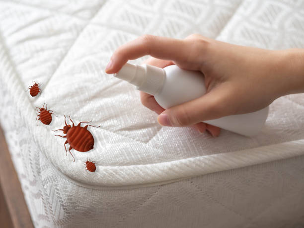 Best Local Pest Control Services  in Moreland Hills, OH