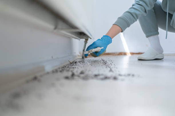Best Ant Control Services  in Moreland Hills, OH